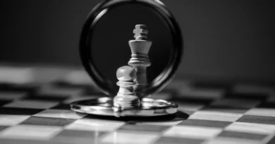Chess pieces reflected in a round mirror on a chessboard