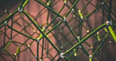 Green connections joining a dark geometric network